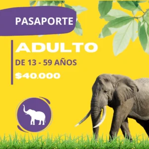 Pasaporte Adultos Ukumarí