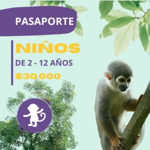 Pasaporte Niños Ukumarí